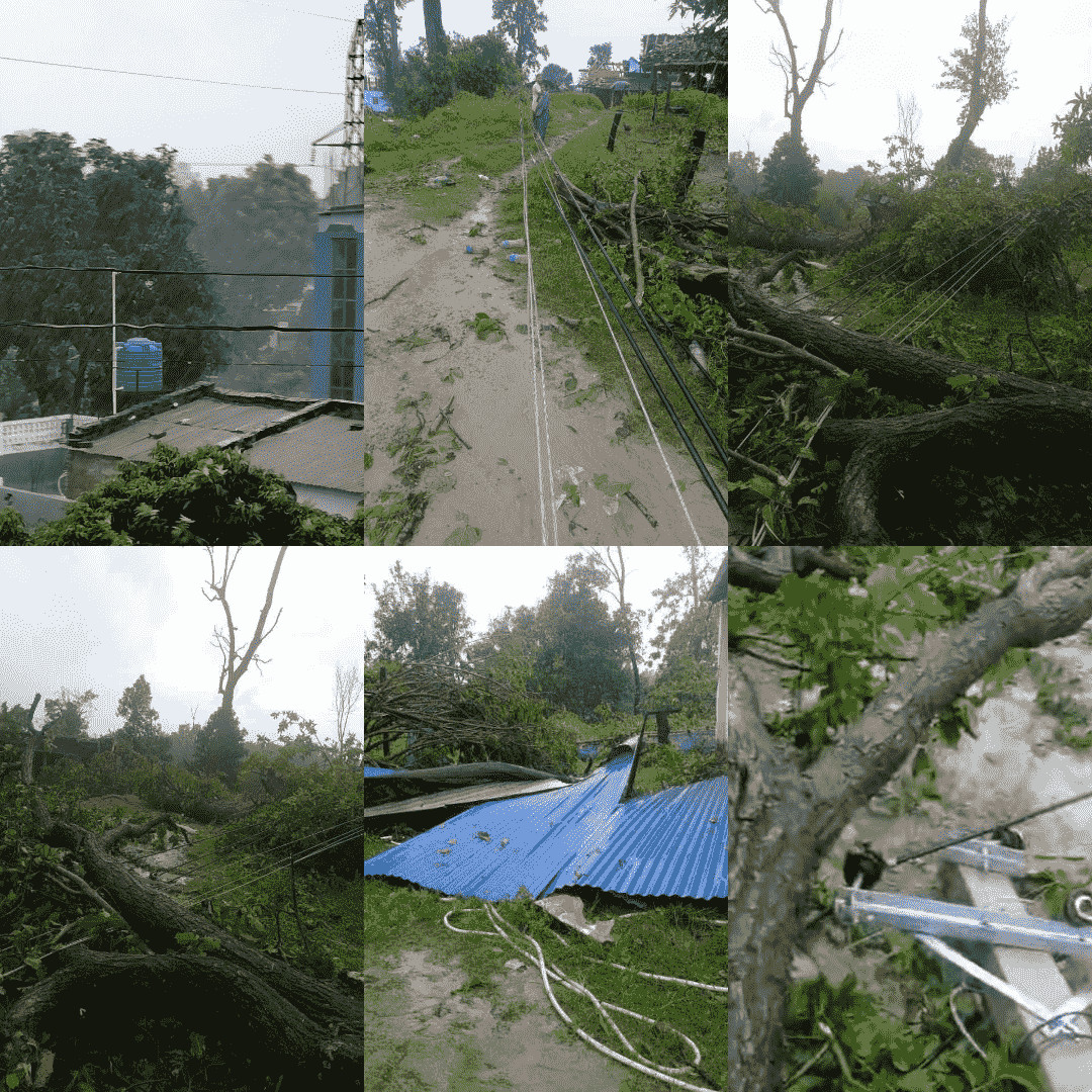 कैलालीको पहलमानपुरमा असिनापानीसहितको हावाहुरी, धानबाली प्रभावित