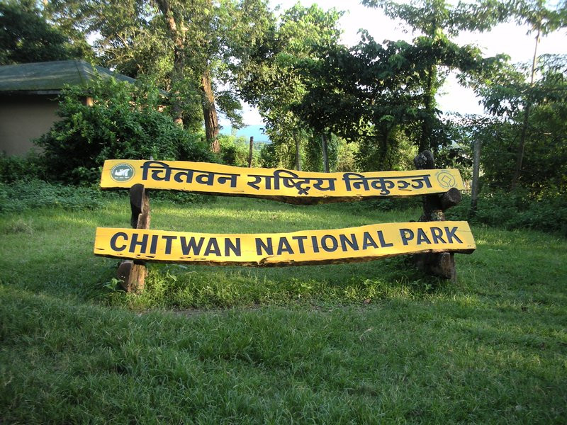 More than 20,000 tourists visit Chitwan National Park during Dashain