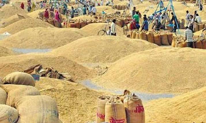 खाद्यले तोकेको मूल्यभन्दा सस्तोमा धान बेच्दै किसान